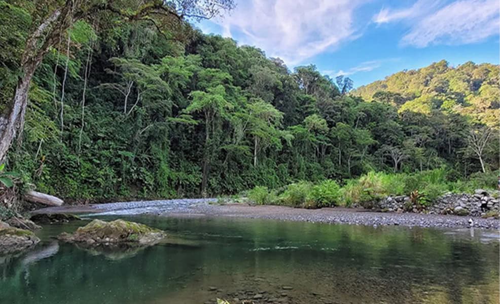 La Reserva Biológica Hitoy Cerere de Costa Rica da la bienvenida a los visitantes: