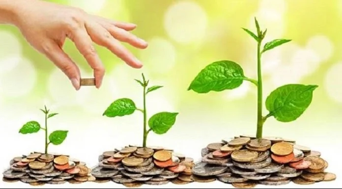Cara Cerdas Membangun Keuntungan Investasi dengan Strategi yang Tepat