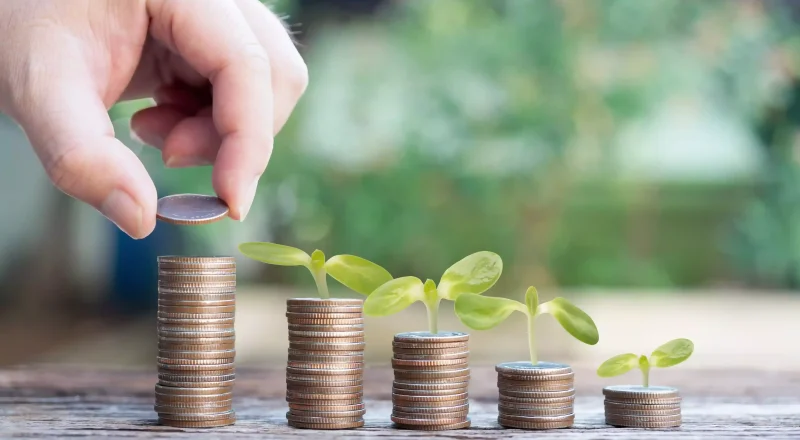 Membangun Kekayaan, Ini Contoh Investasi Jangka Panjang yang Tepat